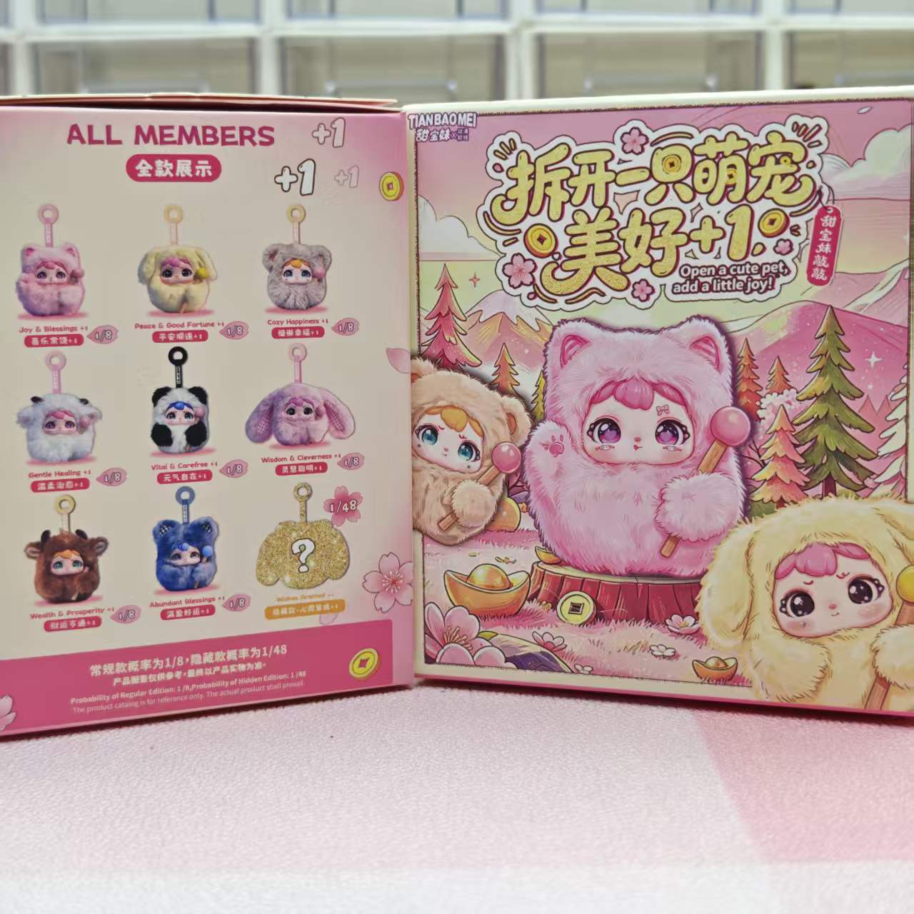 Blind box-Knock Knock Series