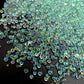 Nail charms -mermaid bubbles